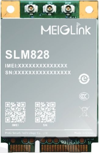 SLM828_1